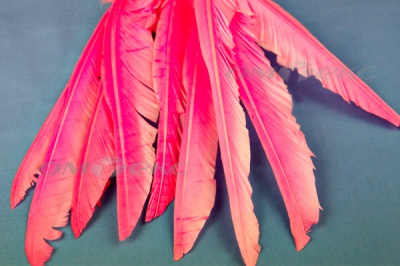 Декоративный Пучок из перьев, перо 25см/розовый - купить в Липецке. Цена: 14.40 руб.