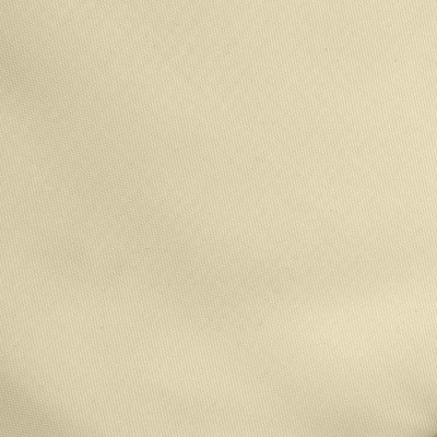 Ткань подкладочная Таффета 14-1014, антист., 53 гр/м2, шир.150см, цвет бежевый - купить в Липецке. Цена 62.37 руб.