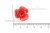Украшение "Розы малые №1" 20мм - купить в Липецке. Цена: 32.49 руб.