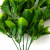 Трава искусственная -1, шт (эвкалипт лист 32 см/8 см)				 - купить в Липецке. Цена: 169.93 руб.