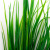 Трава искусственная -2, шт (осока 41см/8 см)				 - купить в Липецке. Цена: 104.57 руб.