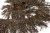 008-коричневый, Бахрома арт.001 шир.10см (упак.12+/-0,5м) - купить в Липецке. Цена: 1 017.33 руб.