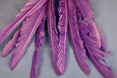 Декоративный Пучок из перьев, перо 25см/фиолетовый - купить в Липецке. Цена: 12.19 руб.