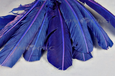 Декоративный Пучок из перьев, перо 23см/синий - купить в Липецке. Цена: 12.34 руб.