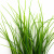 Трава искусственная -3, шт (осока 50 см/8 см  5 листов)				 - купить в Липецке. Цена: 124.17 руб.
