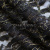 Кружевное полотно XD LACE 1-4, 80 гр/м2, шир.150см, цвет чёрный - купить в Липецке. Цена 245.94 руб.
